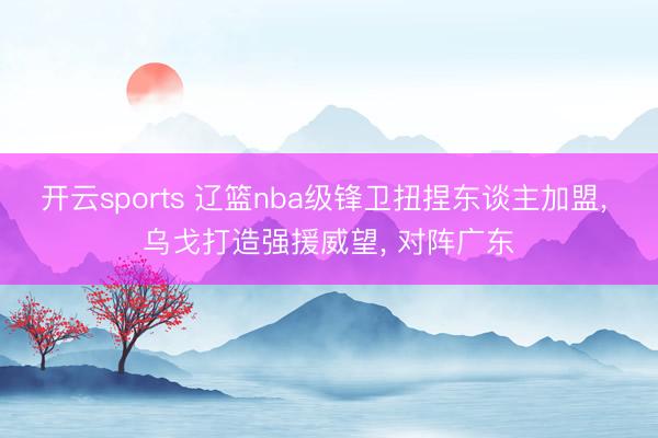 开云sports 辽篮nba级锋卫扭捏东谈主加盟， 乌戈打造强援威望， 对阵广东