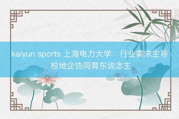 kaiyun sports 上海电力大学:行业需求主导 校地企协同育东说念主
