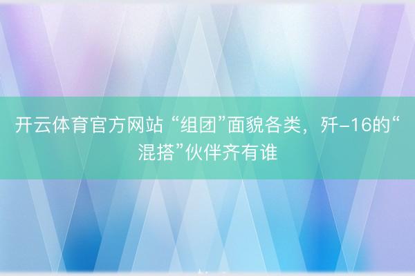 开云体育官方网站 “组团”面貌各类，歼-16的“混搭”伙伴齐有谁