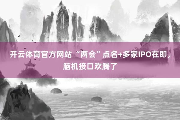 开云体育官方网站 “两会”点名+多家IPO在即，脑机接口欢腾了