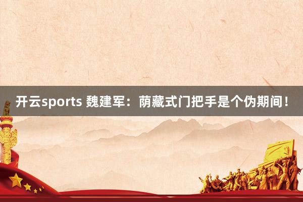 开云sports 魏建军：荫藏式门把手是个伪期间！