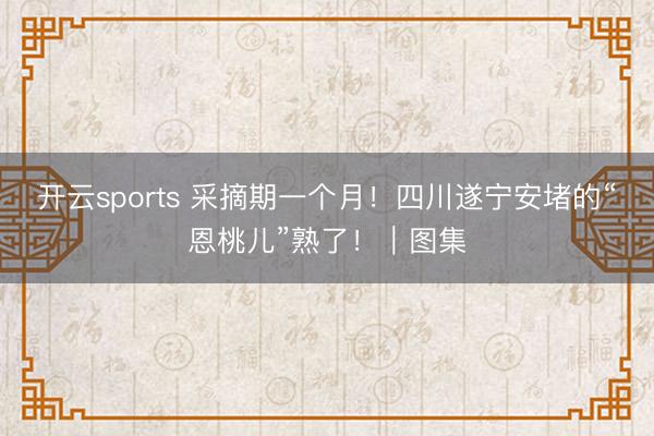 开云sports 采摘期一个月!四川遂宁安堵的“恩桃儿”熟了!|图集