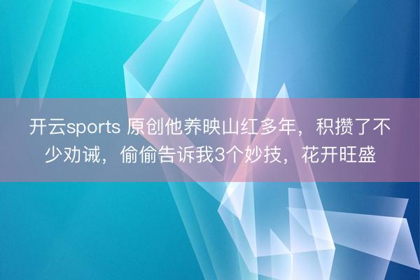 开云sports 原创他养映山红多年,积攒了不少劝诫,偷偷告诉我3个妙技,花开旺盛