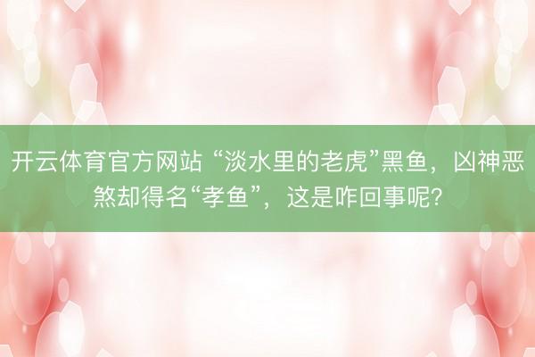 开云体育官方网站 “淡水里的老虎”黑鱼，凶神恶煞却得名“孝鱼”，这是咋回事呢？