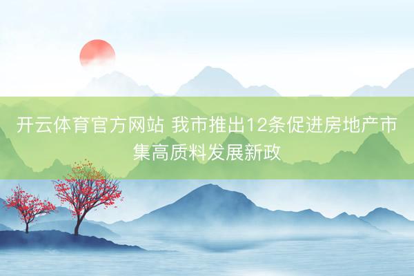 开云体育官方网站 我市推出12条促进房地产市集高质料发展新政