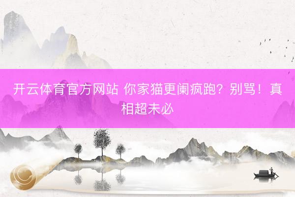 开云体育官方网站 你家猫更阑疯跑？别骂！真相超未必