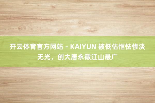 开云体育官方网站 - KAIYUN 被低估恇怯惨淡无光，创大唐永徽江山最广