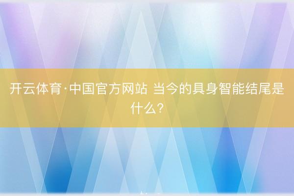 开云体育·中国官方网站 当今的具身智能结尾是什么?
