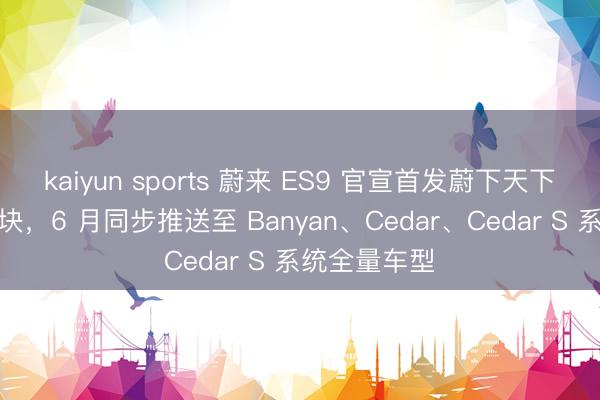 kaiyun sports 蔚来 ES9 官宣首发蔚下天下模子全新版块，6 月同步推送至 Banyan、Cedar、Cedar S 系统全量车型