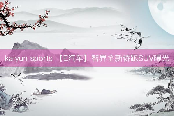 kaiyun sports 【E汽车】智界全新轿跑SUV曝光