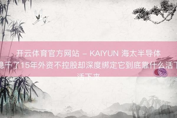 开云体育官方网站 - KAIYUN 海太半导体稳稳干了15年外资不控股却深度绑定它到底靠什么活下来