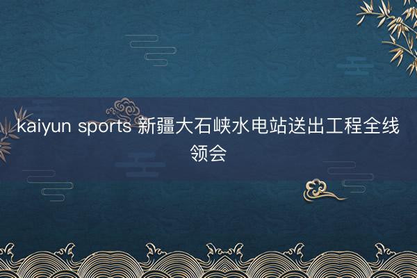kaiyun sports 新疆大石峡水电站送出工程全线领会