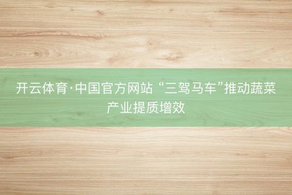 开云体育·中国官方网站 “三驾马车”推动蔬菜产业提质增效